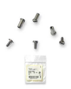 Ray Ban RB4275 RB4255 Chromance RB4254 Replacement Temple Hinge Screws Genuine