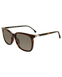 LOZZA SUN SL4160M Sunglasses TORTOISE-09AJ 56mm