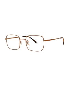 Paradigm 20-20 Eyeglasses Bronze 51mm