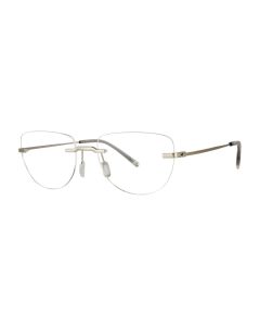 Paradigm Hoffman Eyeglasses Silver 53mm