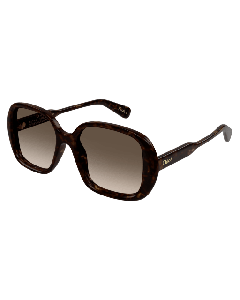 Chloé CH0222S Sunglasses 002 HAVANA 55mm