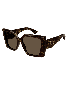 Alexander-McQueen AM0467S Sunglasses 002 HAVANA 56mm