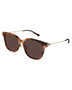 Gucci GG1884SK Sunglasses 004 HAVANA 56mm