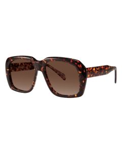 Goliath II Sunglasses Dark Tortoise 62mm