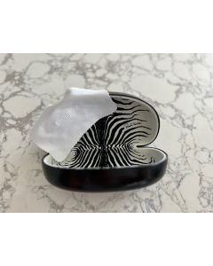 Roberto Cavalli Sunglasses Sun Glasses Eyeglasses Animal Print Case Hard Shell